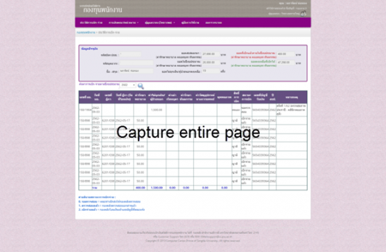 fireshot pro capturing entire page into separate pdfs not working