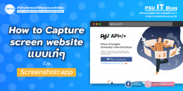 Capturing website with screenshotr.app